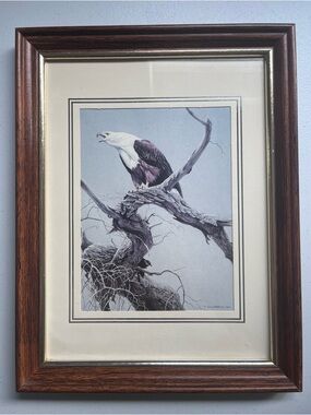 Vintage 1979 Robert Bateman African Fishing Eagle Framed Print Wildlife Art